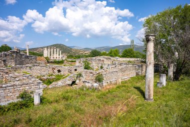 Afrodizyalıların Afrodit 'i (Afrodisias), yerel bir Anadolu, antik doğurganlık tanrıçasıyla aşk ve güzellik tanrıçası Helenik Afrodit' in özelliklerini birleştirmiştir. Geyre, Karacasu Aydın 