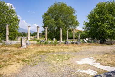 Afrodizyalıların Afrodit 'i (Afrodisias), yerel bir Anadolu, antik doğurganlık tanrıçasıyla aşk ve güzellik tanrıçası Helenik Afrodit' in özelliklerini birleştirmiştir. Geyre, Karacasu Aydın 