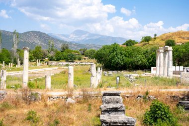 Afrodizyalıların Afrodit 'i (Afrodisias), yerel bir Anadolu, antik doğurganlık tanrıçasıyla aşk ve güzellik tanrıçası Helenik Afrodit' in özelliklerini birleştirmiştir. Geyre, Karacasu Aydın 