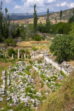 Afrodizyalıların Afrodit 'i (Afrodisias), yerel bir Anadolu, antik doğurganlık tanrıçasıyla aşk ve güzellik tanrıçası Helenik Afrodit' in özelliklerini birleştirmiştir. Geyre, Karacasu Aydın 