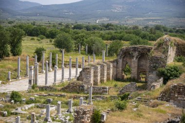 Afrodizyalıların Afrodit 'i (Afrodisias), yerel bir Anadolu, antik doğurganlık tanrıçasıyla aşk ve güzellik tanrıçası Helenik Afrodit' in özelliklerini birleştirmiştir. Geyre, Karacasu Aydın 
