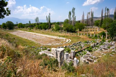 Afrodizyalıların Afrodit 'i (Afrodisias), yerel bir Anadolu, antik doğurganlık tanrıçasıyla aşk ve güzellik tanrıçası Helenik Afrodit' in özelliklerini birleştirmiştir. Geyre, Karacasu Aydın 