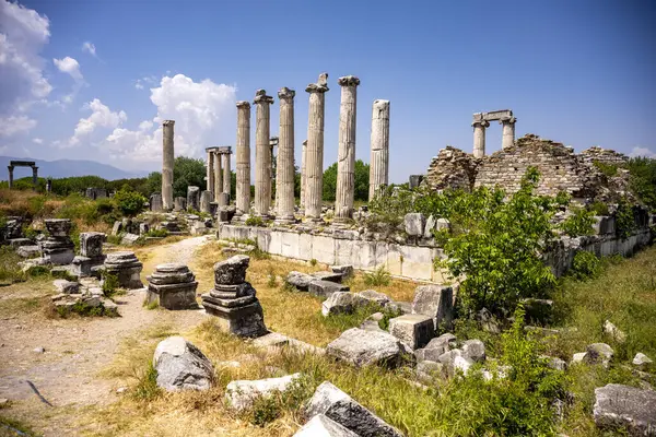 Afrodizyalıların Afrodit 'i (Afrodisias), yerel bir Anadolu, antik doğurganlık tanrıçasıyla aşk ve güzellik tanrıçası Helenik Afrodit' in özelliklerini birleştirmiştir. Geyre, Karacasu Aydın 