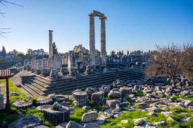 Didyma kalıntıları, Aydn ilinin modern Didim ilçesinin kuzeybatısında yer almaktadır. Eski çağlarda Milezya Yarımadası 'nı oluşturan bir burnun üzerinde yer alıyor. Didyma, klasik şehir Miletus 'un bölgesinde bir sığınaktı..