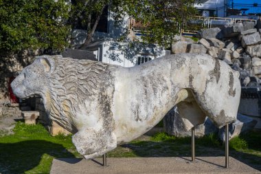 Didyma kalıntıları, Aydn ilinin modern Didim ilçesinin kuzeybatısında yer almaktadır. Eski çağlarda Milezya Yarımadası 'nı oluşturan bir burnun üzerinde yer alıyor. Didyma, klasik şehir Miletus 'un bölgesinde bir sığınaktı..