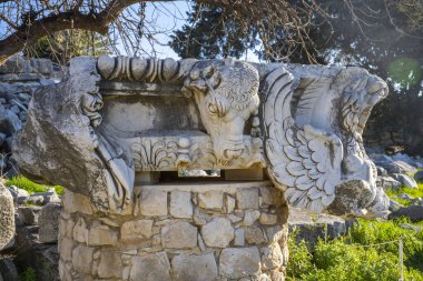 Didyma kalıntıları, Aydn ilinin modern Didim ilçesinin kuzeybatısında yer almaktadır. Eski çağlarda Milezya Yarımadası 'nı oluşturan bir burnun üzerinde yer alıyor. Didyma, klasik şehir Miletus 'un bölgesinde bir sığınaktı..