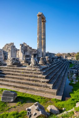Didyma kalıntıları, Aydn ilinin modern Didim ilçesinin kuzeybatısında yer almaktadır. Eski çağlarda Milezya Yarımadası 'nı oluşturan bir burnun üzerinde yer alıyor. Didyma, klasik şehir Miletus 'un bölgesinde bir sığınaktı..