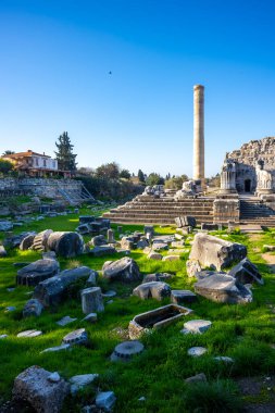 Didyma kalıntıları, Aydn ilinin modern Didim ilçesinin kuzeybatısında yer almaktadır. Eski çağlarda Milezya Yarımadası 'nı oluşturan bir burnun üzerinde yer alıyor. Didyma, klasik şehir Miletus 'un bölgesinde bir sığınaktı..