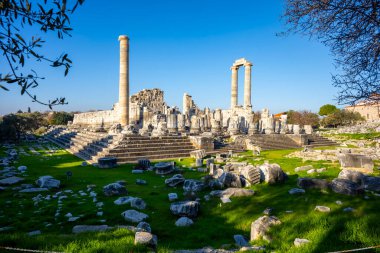 Didyma kalıntıları, Aydn ilinin modern Didim ilçesinin kuzeybatısında yer almaktadır. Eski çağlarda Milezya Yarımadası 'nı oluşturan bir burnun üzerinde yer alıyor. Didyma, klasik şehir Miletus 'un bölgesinde bir sığınaktı..