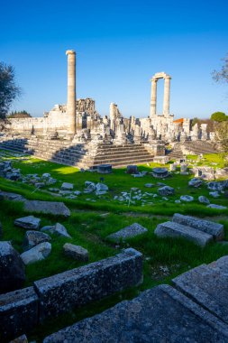 Didyma kalıntıları, Aydn ilinin modern Didim ilçesinin kuzeybatısında yer almaktadır. Eski çağlarda Milezya Yarımadası 'nı oluşturan bir burnun üzerinde yer alıyor. Didyma, klasik şehir Miletus 'un bölgesinde bir sığınaktı..