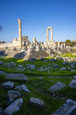 Didyma kalıntıları, Aydn ilinin modern Didim ilçesinin kuzeybatısında yer almaktadır. Eski çağlarda Milezya Yarımadası 'nı oluşturan bir burnun üzerinde yer alıyor. Didyma, klasik şehir Miletus 'un bölgesinde bir sığınaktı..