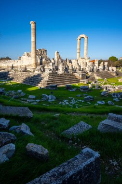 Didyma kalıntıları, Aydn ilinin modern Didim ilçesinin kuzeybatısında yer almaktadır. Eski çağlarda Milezya Yarımadası 'nı oluşturan bir burnun üzerinde yer alıyor. Didyma, klasik şehir Miletus 'un bölgesinde bir sığınaktı..