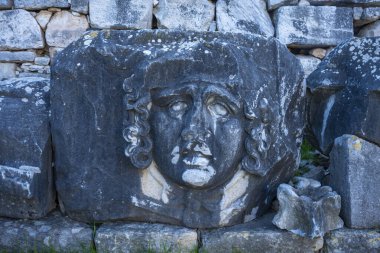 Didyma kalıntıları, Aydn ilinin modern Didim ilçesinin kuzeybatısında yer almaktadır. Eski çağlarda Milezya Yarımadası 'nı oluşturan bir burnun üzerinde yer alıyor. Didyma, klasik şehir Miletus 'un bölgesinde bir sığınaktı..