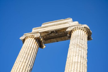 Didyma kalıntıları, Aydn ilinin modern Didim ilçesinin kuzeybatısında yer almaktadır. Eski çağlarda Milezya Yarımadası 'nı oluşturan bir burnun üzerinde yer alıyor. Didyma, klasik şehir Miletus 'un bölgesinde bir sığınaktı..
