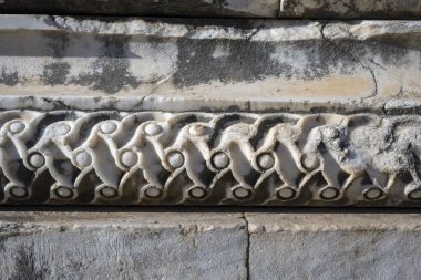 Didyma kalıntıları, Aydn ilinin modern Didim ilçesinin kuzeybatısında yer almaktadır. Eski çağlarda Milezya Yarımadası 'nı oluşturan bir burnun üzerinde yer alıyor. Didyma, klasik şehir Miletus 'un bölgesinde bir sığınaktı..