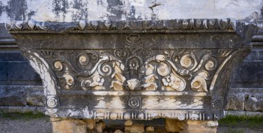 Didyma kalıntıları, Aydn ilinin modern Didim ilçesinin kuzeybatısında yer almaktadır. Eski çağlarda Milezya Yarımadası 'nı oluşturan bir burnun üzerinde yer alıyor. Didyma, klasik şehir Miletus 'un bölgesinde bir sığınaktı..