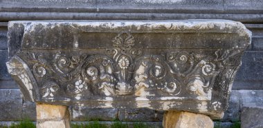 Didyma kalıntıları, Aydn ilinin modern Didim ilçesinin kuzeybatısında yer almaktadır. Eski çağlarda Milezya Yarımadası 'nı oluşturan bir burnun üzerinde yer alıyor. Didyma, klasik şehir Miletus 'un bölgesinde bir sığınaktı..