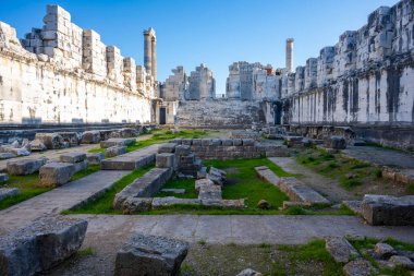 Didyma kalıntıları, Aydn ilinin modern Didim ilçesinin kuzeybatısında yer almaktadır. Eski çağlarda Milezya Yarımadası 'nı oluşturan bir burnun üzerinde yer alıyor. Didyma, klasik şehir Miletus 'un bölgesinde bir sığınaktı..
