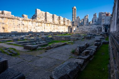 Didyma kalıntıları, Aydn ilinin modern Didim ilçesinin kuzeybatısında yer almaktadır. Eski çağlarda Milezya Yarımadası 'nı oluşturan bir burnun üzerinde yer alıyor. Didyma, klasik şehir Miletus 'un bölgesinde bir sığınaktı..