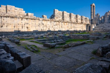 Didyma kalıntıları, Aydn ilinin modern Didim ilçesinin kuzeybatısında yer almaktadır. Eski çağlarda Milezya Yarımadası 'nı oluşturan bir burnun üzerinde yer alıyor. Didyma, klasik şehir Miletus 'un bölgesinde bir sığınaktı..