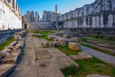 Didyma kalıntıları, Aydn ilinin modern Didim ilçesinin kuzeybatısında yer almaktadır. Eski çağlarda Milezya Yarımadası 'nı oluşturan bir burnun üzerinde yer alıyor. Didyma, klasik şehir Miletus 'un bölgesinde bir sığınaktı..