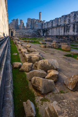 Didyma kalıntıları, Aydn ilinin modern Didim ilçesinin kuzeybatısında yer almaktadır. Eski çağlarda Milezya Yarımadası 'nı oluşturan bir burnun üzerinde yer alıyor. Didyma, klasik şehir Miletus 'un bölgesinde bir sığınaktı..