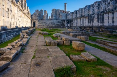 Didyma kalıntıları, Aydn ilinin modern Didim ilçesinin kuzeybatısında yer almaktadır. Eski çağlarda Milezya Yarımadası 'nı oluşturan bir burnun üzerinde yer alıyor. Didyma, klasik şehir Miletus 'un bölgesinde bir sığınaktı..