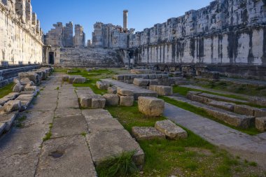 Didyma kalıntıları, Aydn ilinin modern Didim ilçesinin kuzeybatısında yer almaktadır. Eski çağlarda Milezya Yarımadası 'nı oluşturan bir burnun üzerinde yer alıyor. Didyma, klasik şehir Miletus 'un bölgesinde bir sığınaktı..