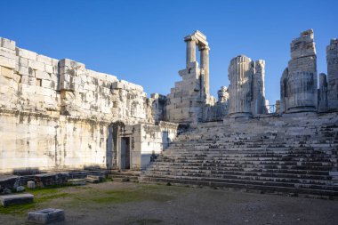 Didyma kalıntıları, Aydn ilinin modern Didim ilçesinin kuzeybatısında yer almaktadır. Eski çağlarda Milezya Yarımadası 'nı oluşturan bir burnun üzerinde yer alıyor. Didyma, klasik şehir Miletus 'un bölgesinde bir sığınaktı..