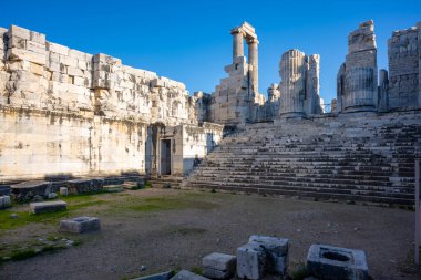 Didyma kalıntıları, Aydn ilinin modern Didim ilçesinin kuzeybatısında yer almaktadır. Eski çağlarda Milezya Yarımadası 'nı oluşturan bir burnun üzerinde yer alıyor. Didyma, klasik şehir Miletus 'un bölgesinde bir sığınaktı..