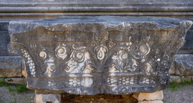 Didyma kalıntıları, Aydn ilinin modern Didim ilçesinin kuzeybatısında yer almaktadır. Eski çağlarda Milezya Yarımadası 'nı oluşturan bir burnun üzerinde yer alıyor. Didyma, klasik şehir Miletus 'un bölgesinde bir sığınaktı..