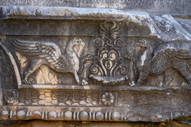 Didyma kalıntıları, Aydn ilinin modern Didim ilçesinin kuzeybatısında yer almaktadır. Eski çağlarda Milezya Yarımadası 'nı oluşturan bir burnun üzerinde yer alıyor. Didyma, klasik şehir Miletus 'un bölgesinde bir sığınaktı..