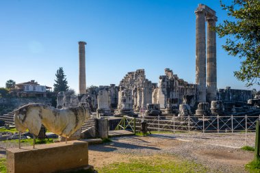 Didyma kalıntıları, Aydn ilinin modern Didim ilçesinin kuzeybatısında yer almaktadır. Eski çağlarda Milezya Yarımadası 'nı oluşturan bir burnun üzerinde yer alıyor. Didyma, klasik şehir Miletus 'un bölgesinde bir sığınaktı..