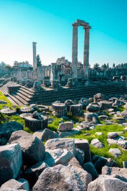 Didyma kalıntıları, Aydn ilinin modern Didim ilçesinin kuzeybatısında yer almaktadır. Eski çağlarda Milezya Yarımadası 'nı oluşturan bir burnun üzerinde yer alıyor. Didyma, klasik şehir Miletus 'un bölgesinde bir sığınaktı..