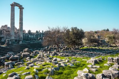 Didyma kalıntıları, Aydn ilinin modern Didim ilçesinin kuzeybatısında yer almaktadır. Eski çağlarda Milezya Yarımadası 'nı oluşturan bir burnun üzerinde yer alıyor. Didyma, klasik şehir Miletus 'un bölgesinde bir sığınaktı..