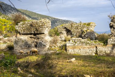 Antik Limyra şehrinin kalıntıları Kumluca-Finike yolunda Kumluca 'dan 11 km sonra Zengerler köyünde ve Finike ovasının dağ yamaçlarında yer almaktadır. 