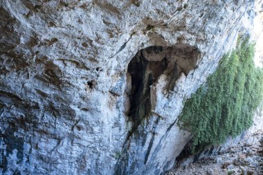 The cave is situated in Killik location of Ahirtas village at Dosemealti  district of Antalya Province.The cave is 633 m long and has two large chambers on the main gallery, which has a clearance. clipart