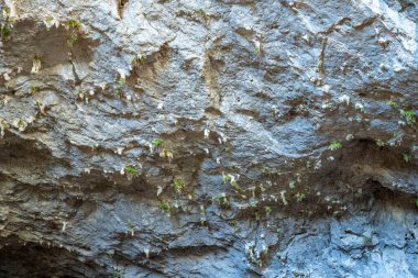 Mağara, Antalya 'nın Dosemealti ilçesindeki Ahirtas köyünün Killik bölgesinde yer alıyor. Mağara 633 metre uzunluğunda ve ana galeride iki büyük odası var..