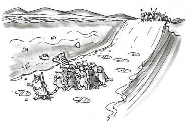 Kedilerini Kızıl Deniz 'de dolaştıran Musa Kedisi' nin resmi. Ne yazık ki bir kedinin dikkati bir sürü balıktan dağılıyor..