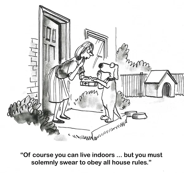 Bw漫画的狗想住在室内 女人的主人说是的 但狗必须首先向圣经发誓 要遵守家里的规矩 免版税图库照片