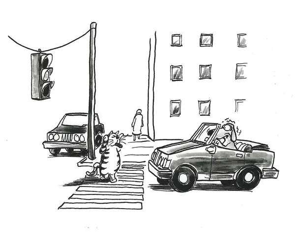 Desenhos Animados Gato Caminhando Uma Passadeira Com Cão Seu Carro — Fotografia de Stock