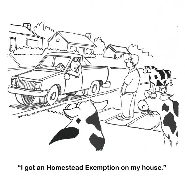 Karikatur Eines Hausbesitzers Der Milchkühe Auf Seinem Hof Hat Aus — Stockfoto
