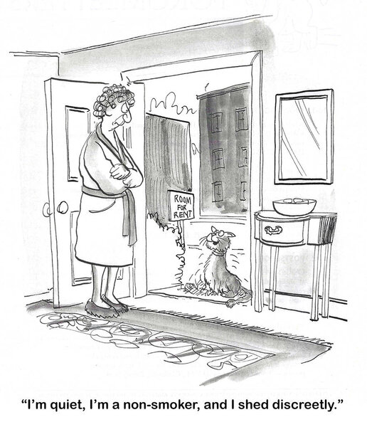 BW cartoon of a woman with a 'room for rent'.  A cat applies and states its excellent credentials.