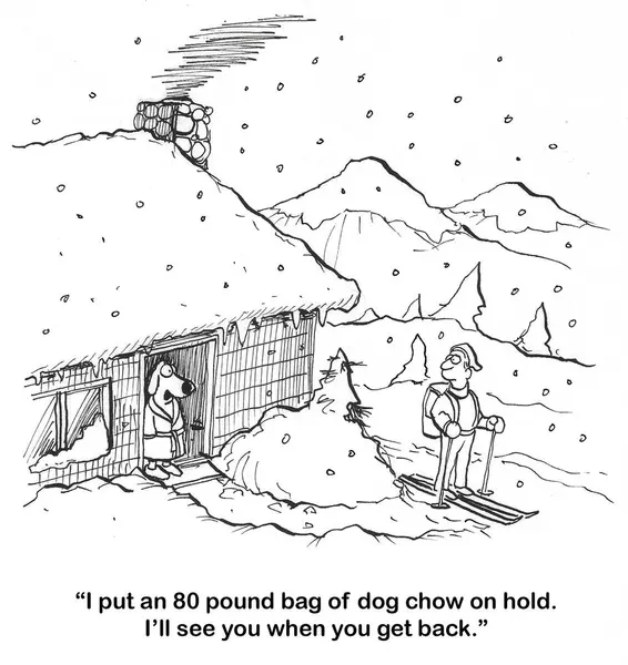 Cartoon Van Een Sneeuwstorm Een Hond Een Badjas Praten Met — Stockfoto