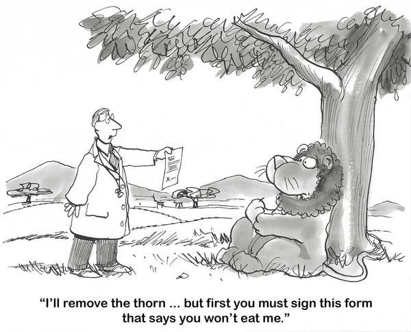 ライオンのBw漫画は トウモロコシのカボーゼを傷つけました 医者はライオンが医者を食べないことを示すフォームに署名した場合に役立ちます — ストック写真