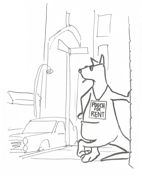 Caricatura Canguro Anunciando Sus Servicios Alquiler —  Fotos de Stock