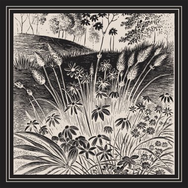 Çiçek ve botanik elementlerin toplanması vektörü. Yaprak yaprakları, kır çiçekleri yapraklar ve bitkiler açar..