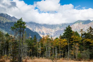 Kamikochi Milli Parkı 'nın arka planında kar dağları, kayalar ve yaprakların renk değiştirdiği tepelerden Azusa nehirleri mevsimi vardı..