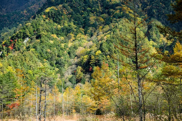 stock image Mt.Yake-dake with Taisho Pond (Taishoike) was formed in 1915, when an eruption of the nearby volcano Mt. Yakedake dammed the Azusa River.