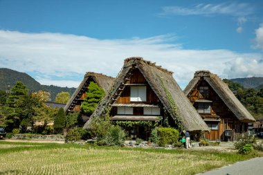 Japon Shirakawago köyü sonbahar mevsiminde ekim ayında. Üçgen çatılı geleneksel Shirakawa evi pirinç tarlası, çam dağı ve bulutsuz gökyüzü..